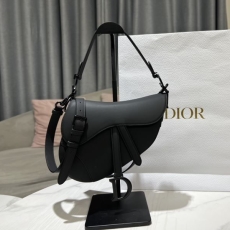 Dior Saddle Bags